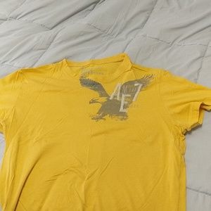 American eagle tlT